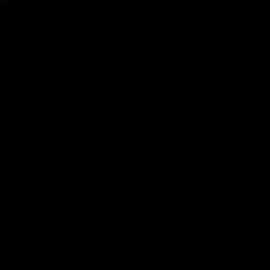 Meet your Posher, Kendall